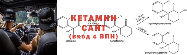 ГАЛЛЮЦИНОГЕННЫЕ ГРИБЫ Абаза